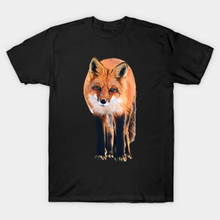 Fox - Woodland Themed Kids Room, Funny Gifts For Forester, Cute Animals T-Shirt